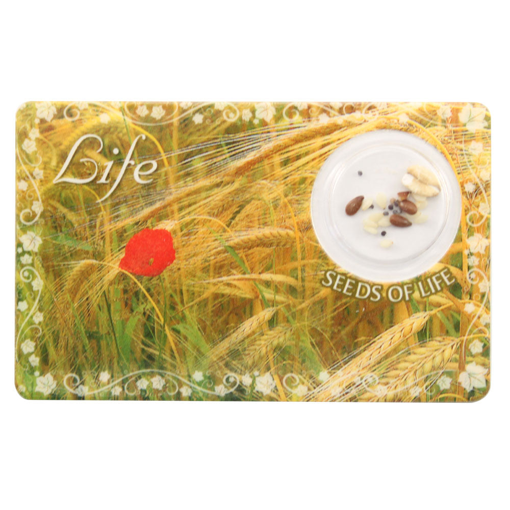 Life Greeting Card