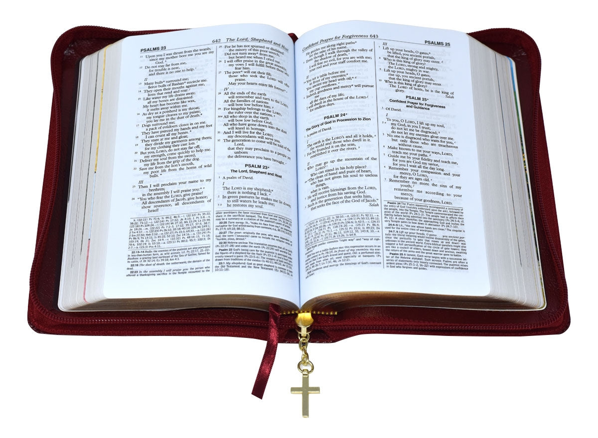 New American Bible