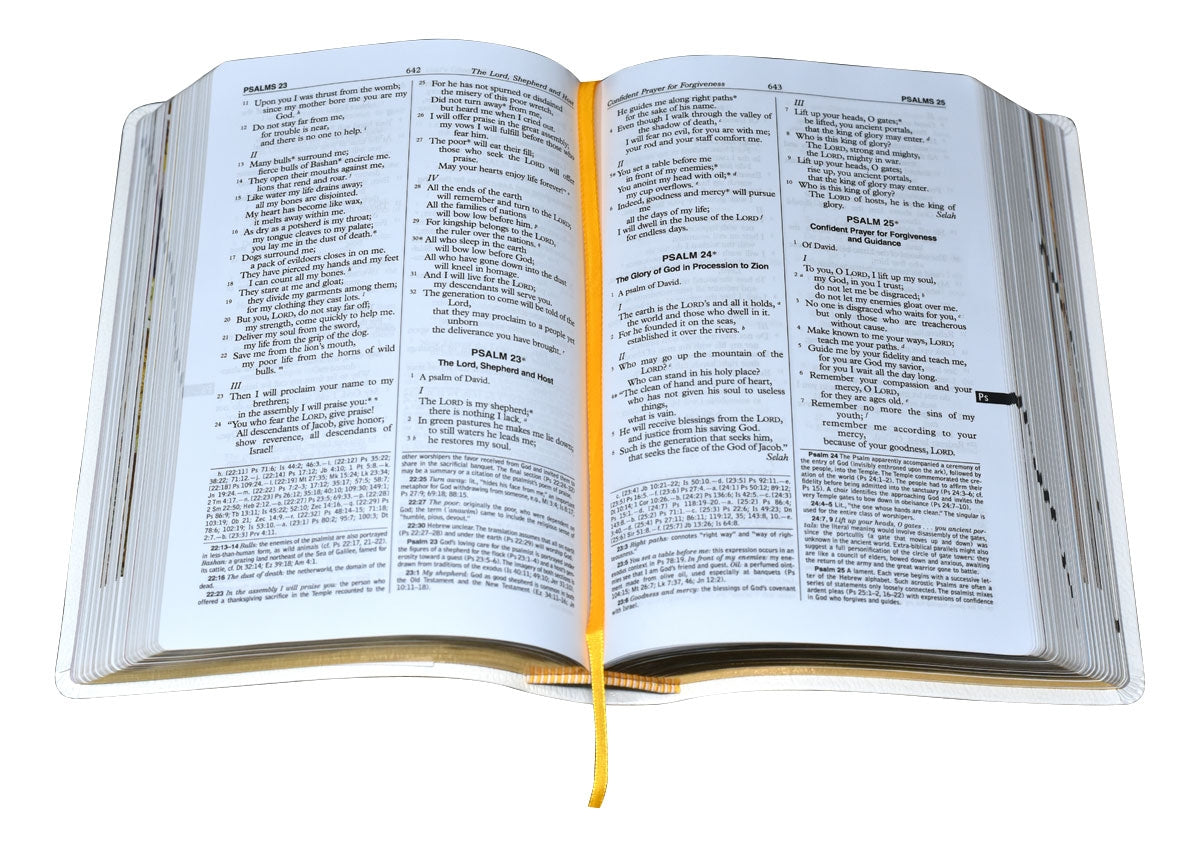 Bible New American