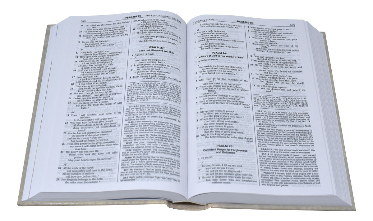 Noah Ark Catholic Bible