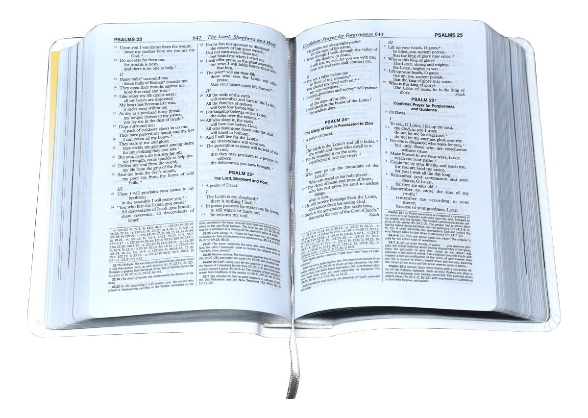  Bible New American 