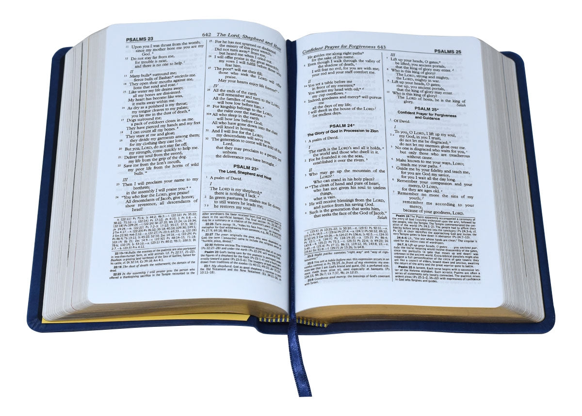 Bible New American
