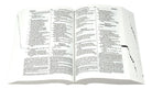 Catholic New American Bible