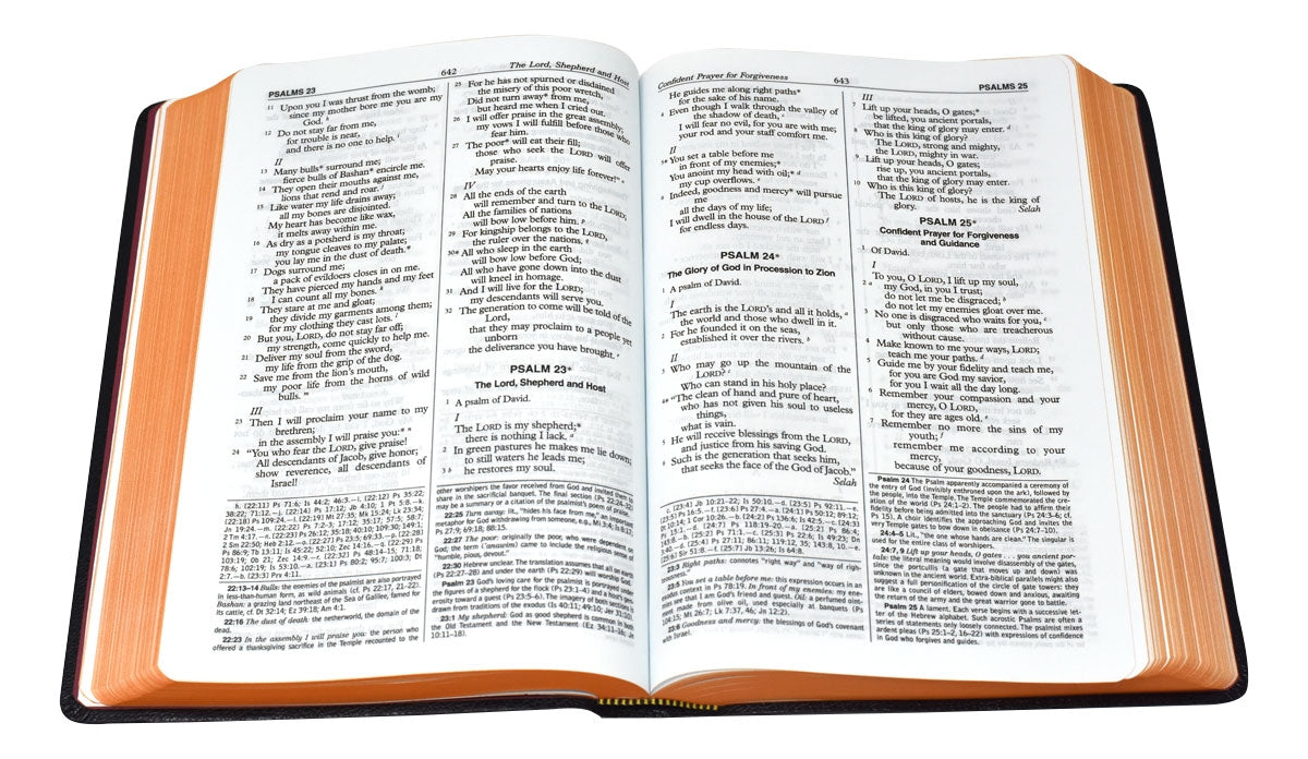 New American Bible