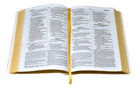 New American Bible