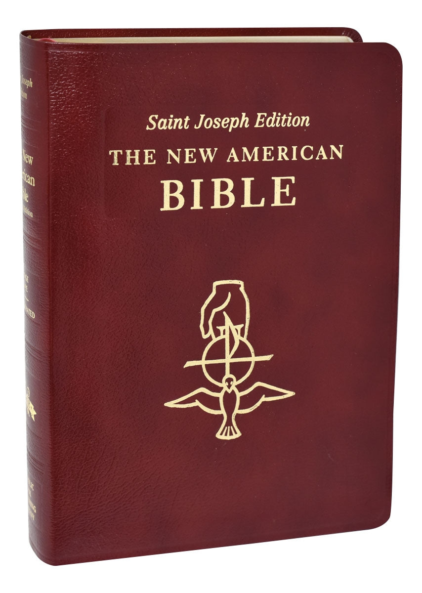 Saint Joseph New American Bible