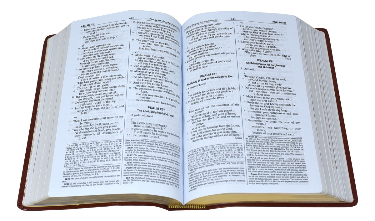 New American Bible